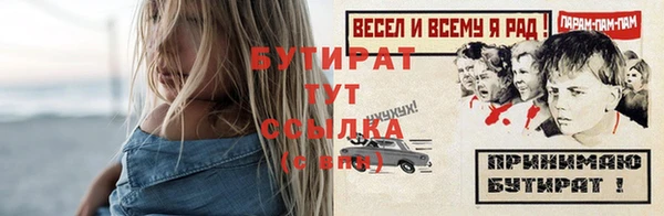 твердый Краснослободск