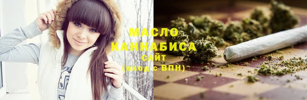 твердый Краснослободск