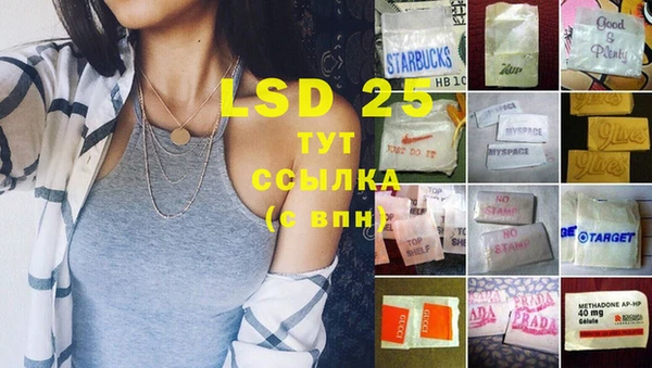 твердый Краснослободск