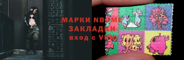 твердый Краснослободск