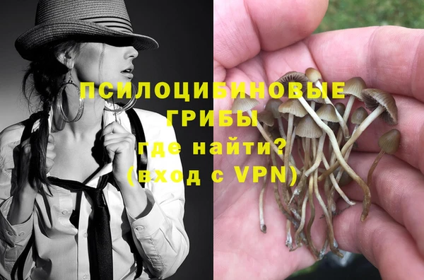 твердый Краснослободск
