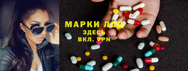 твердый Краснослободск