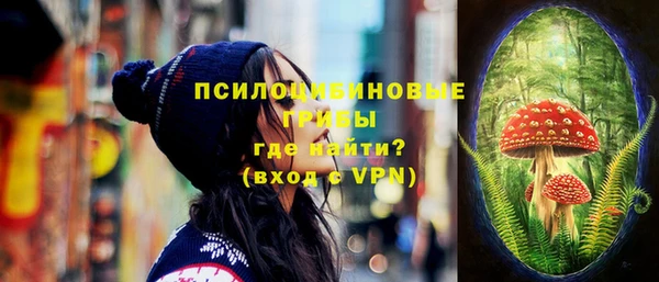 твердый Краснослободск