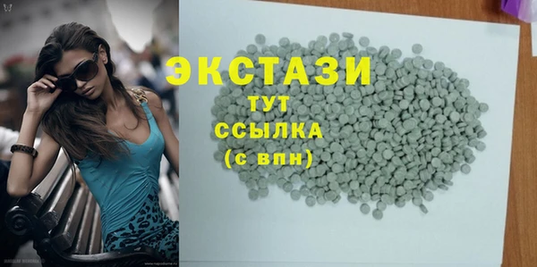 твердый Краснослободск