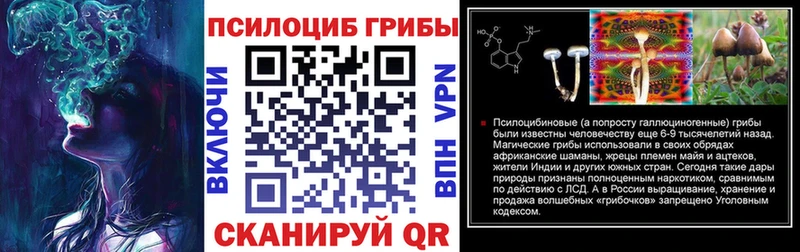 Псилоцибиновые грибы мицелий  Купить где  Борзя 